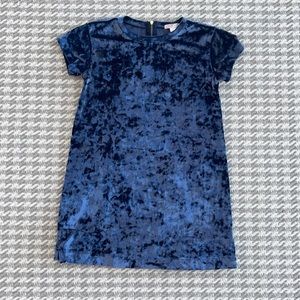 Crewcuts everyday velvet dress blue